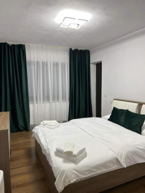 Vila AliBi Valiug - 200m from Ponton Casa Baraj